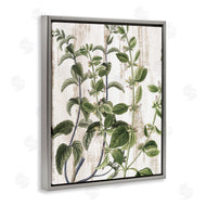 Kim Allen | Rustic Botanical Vines