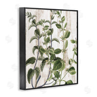 Kim Allen | Rustic Botanical Vines