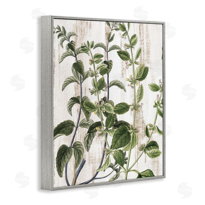 Kim Allen | Rustic Botanical Vines