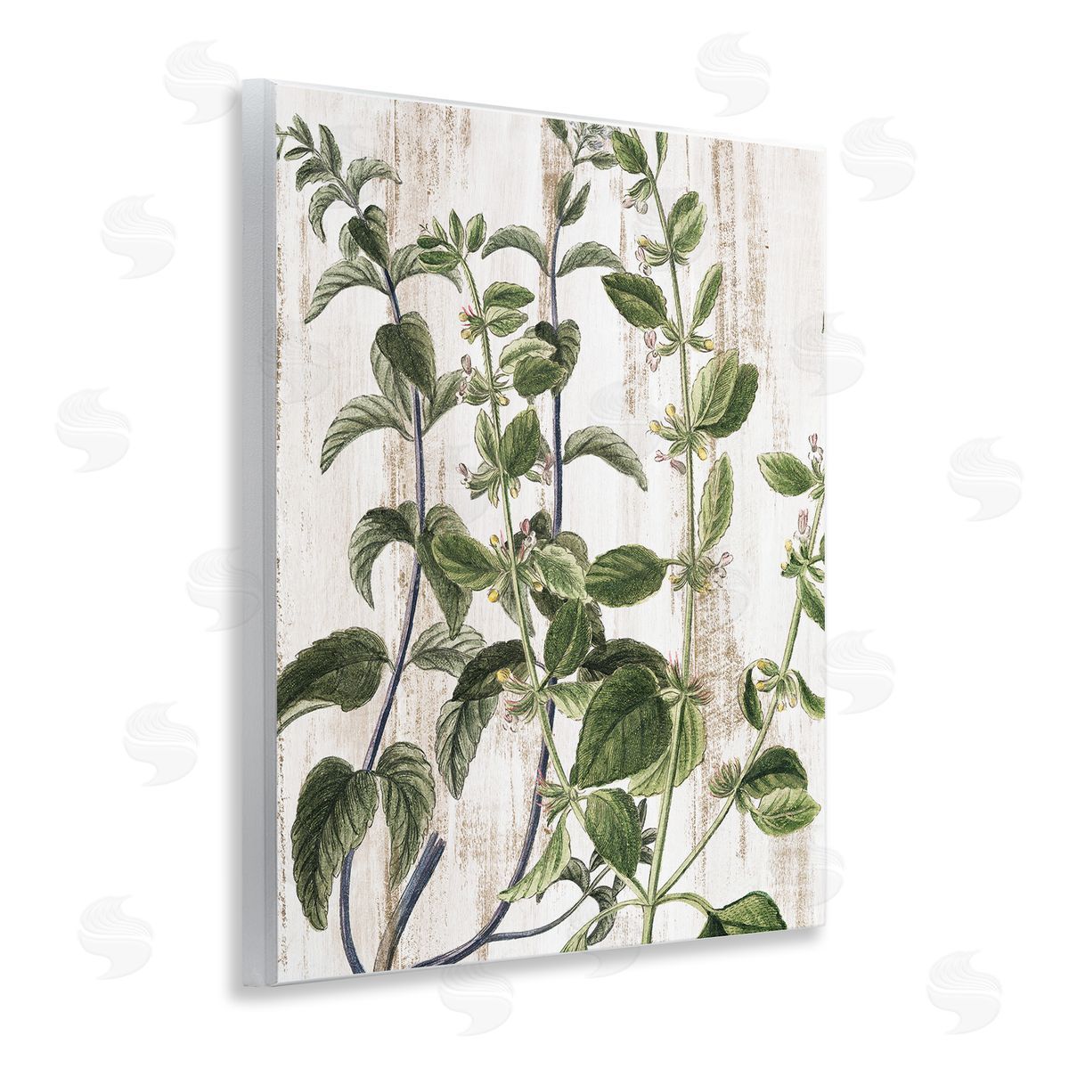 Rustic Botanical Vines Wood Plaque Wall Art, Home Decor by Kim Allen