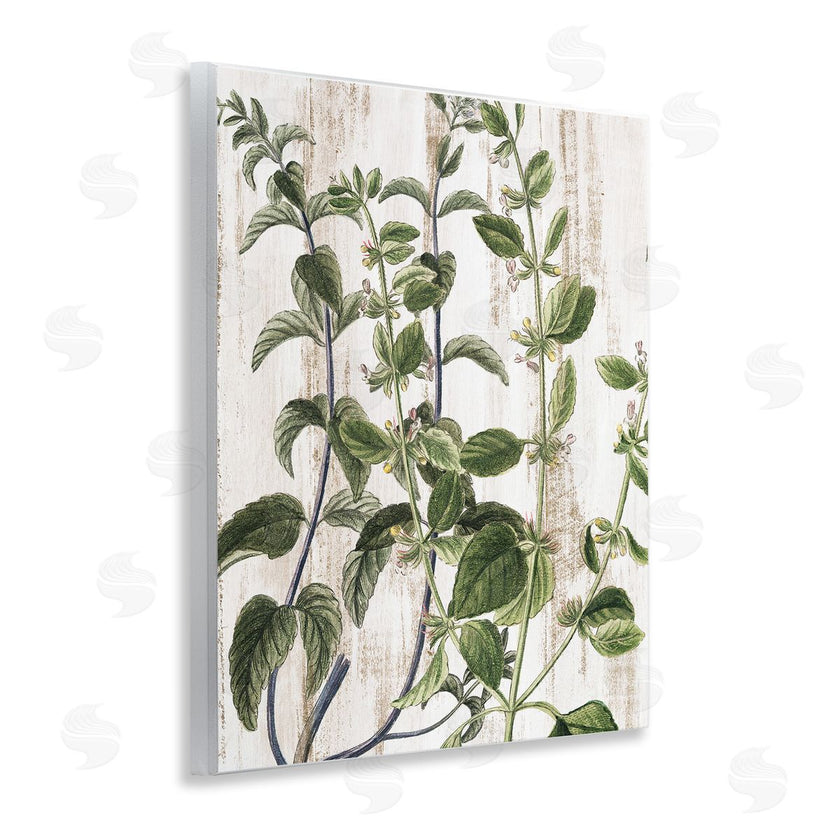 Kim Allen | Rustic Botanical Vines