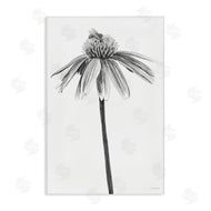 Kamdon Kreations | Simple Daisy Sprig
