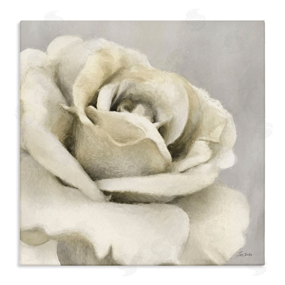 Curling Rose Petals Canvas Wall Art, Home Decor by Lori Deiter