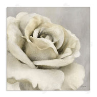 Lori Deiter | Curling Rose Petals