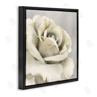 Lori Deiter | Curling Rose Petals
