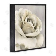 Lori Deiter | Curling Rose Petals