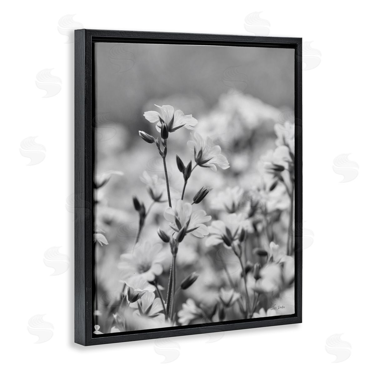 Budding Meadow Flora Black Floating Frame Canvas Wall Art, Home Decor by Lori Deiter