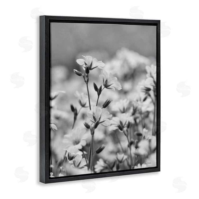 Lori Deiter | Budding Meadow Flora