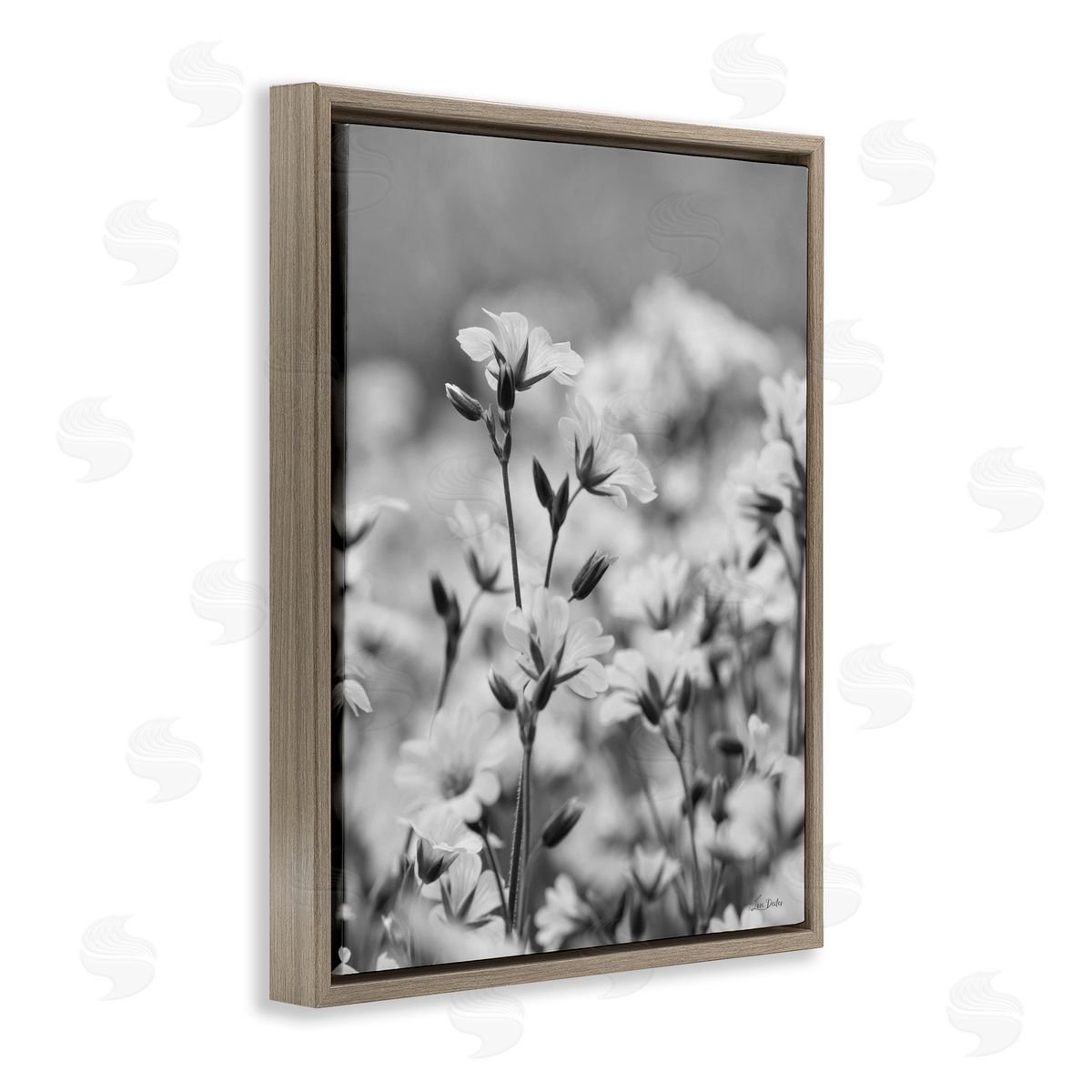 Budding Meadow Flora Brown Floating Frame Canvas Wall Art, Home Decor by Lori Deiter