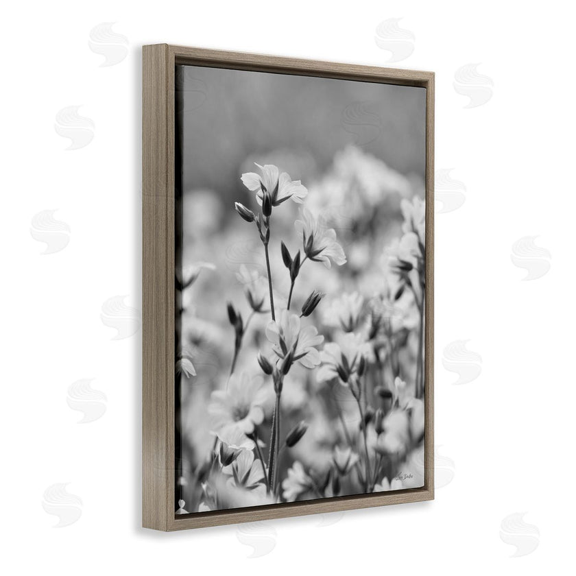 Lori Deiter | Budding Meadow Flora