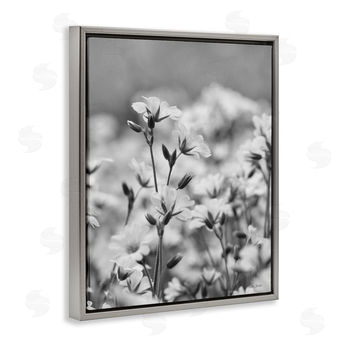 Budding Meadow Flora Grey Floating Frame Canvas Wall Art, Home Decor by Lori Deiter