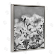 Lori Deiter | Budding Meadow Flora