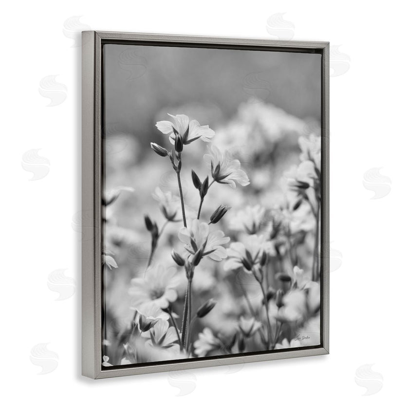 Lori Deiter | Budding Meadow Flora