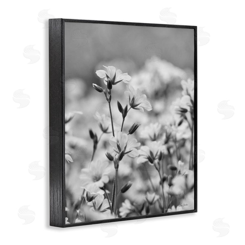 Lori Deiter | Budding Meadow Flora
