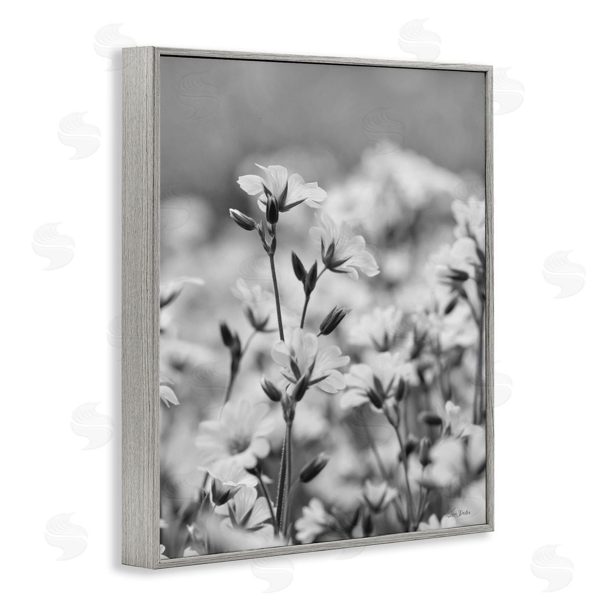 Budding Meadow Flora Grey Frame Print Wall Art, Home Decor by Lori Deiter