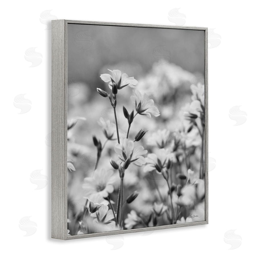 Lori Deiter | Budding Meadow Flora