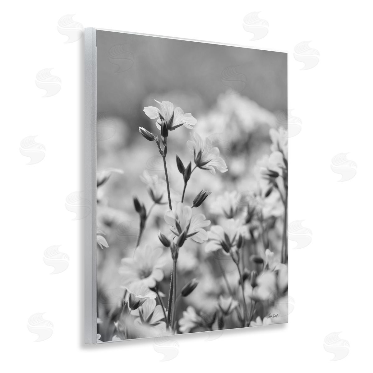 Budding Meadow Flora Wood Plaque Wall Art, Home Decor by Lori Deiter