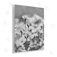 Lori Deiter | Budding Meadow Flora