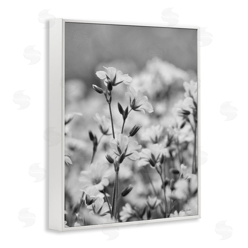 Lori Deiter | Budding Meadow Flora