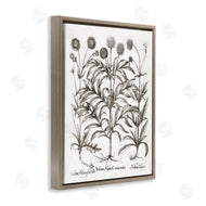 Lettered and Lined | Scientific Vintage Flowers