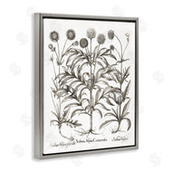 Lettered and Lined | Scientific Vintage Flowers