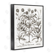 Lettered and Lined | Scientific Vintage Flowers