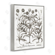 Lettered and Lined | Scientific Vintage Flowers