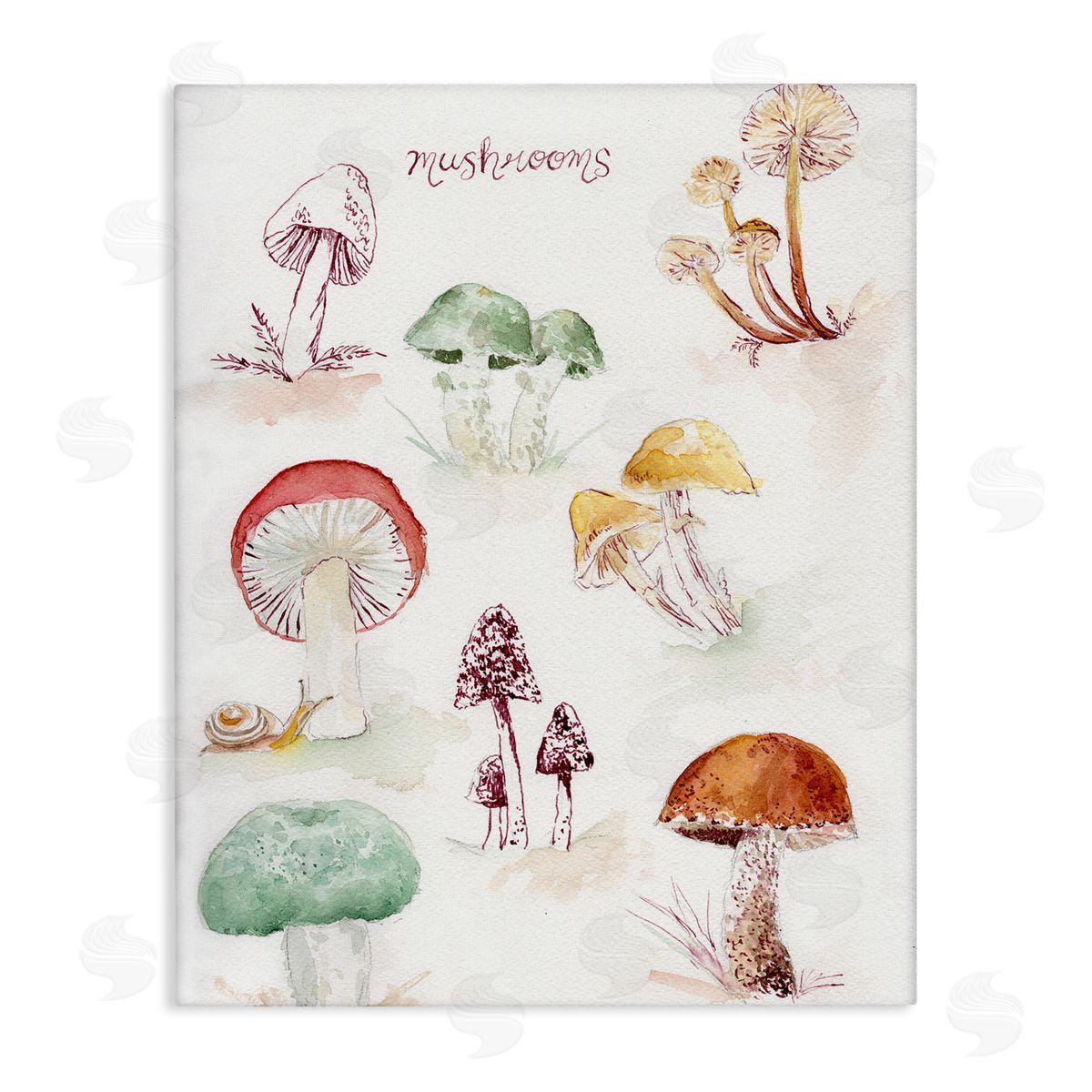 Types Of Mushrooms Canvas Wall Art, Home Decor by Melissa Hyatt