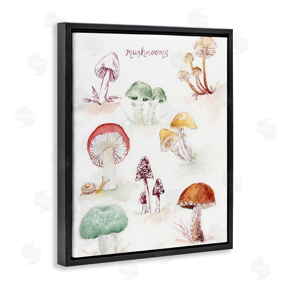 Types Of Mushrooms Black Floating Frame Canvas Wall Art, Home Decor by Melissa Hyatt