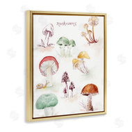Melissa Hyatt | Types Of Mushrooms