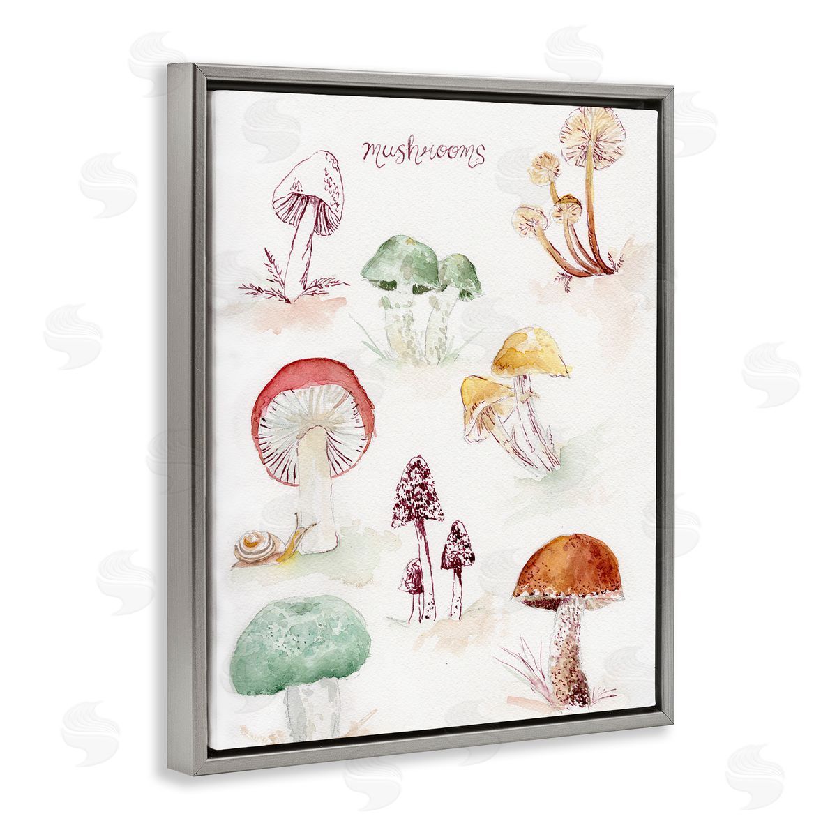 Types Of Mushrooms Grey Floating Frame Canvas Wall Art, Home Decor by Melissa Hyatt