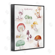 Melissa Hyatt | Types Of Mushrooms