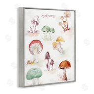 Melissa Hyatt | Types Of Mushrooms