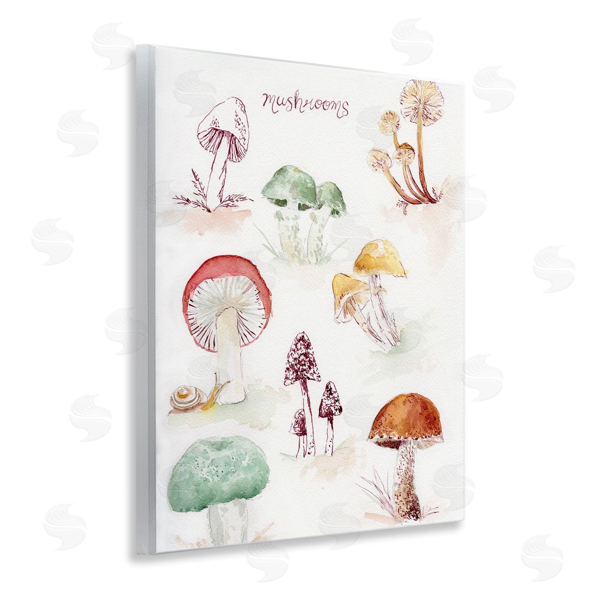 Types Of Mushrooms Wood Plaque Wall Art, Home Decor by Melissa Hyatt