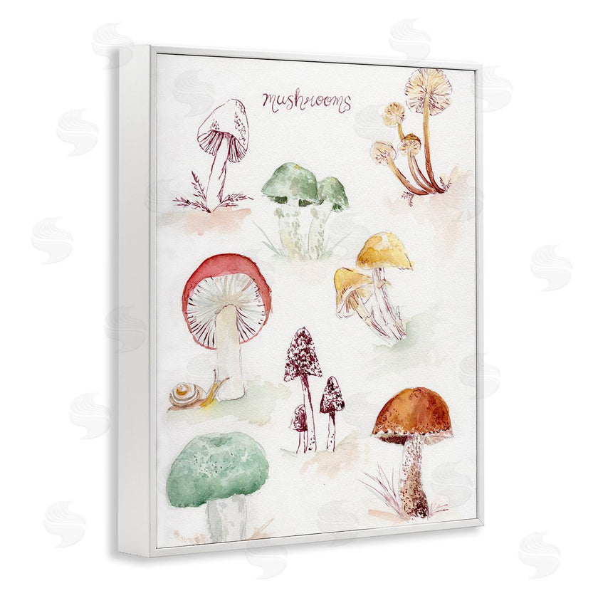 Melissa Hyatt | Types Of Mushrooms