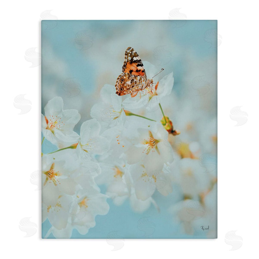 Renel Peters | Pale Blossoms and Butterfly