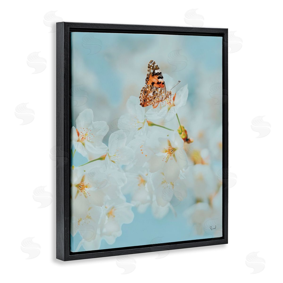 Pale Blossoms and Butterfly Black Floating Frame Canvas Wall Art, Home Decor by Renel Peters