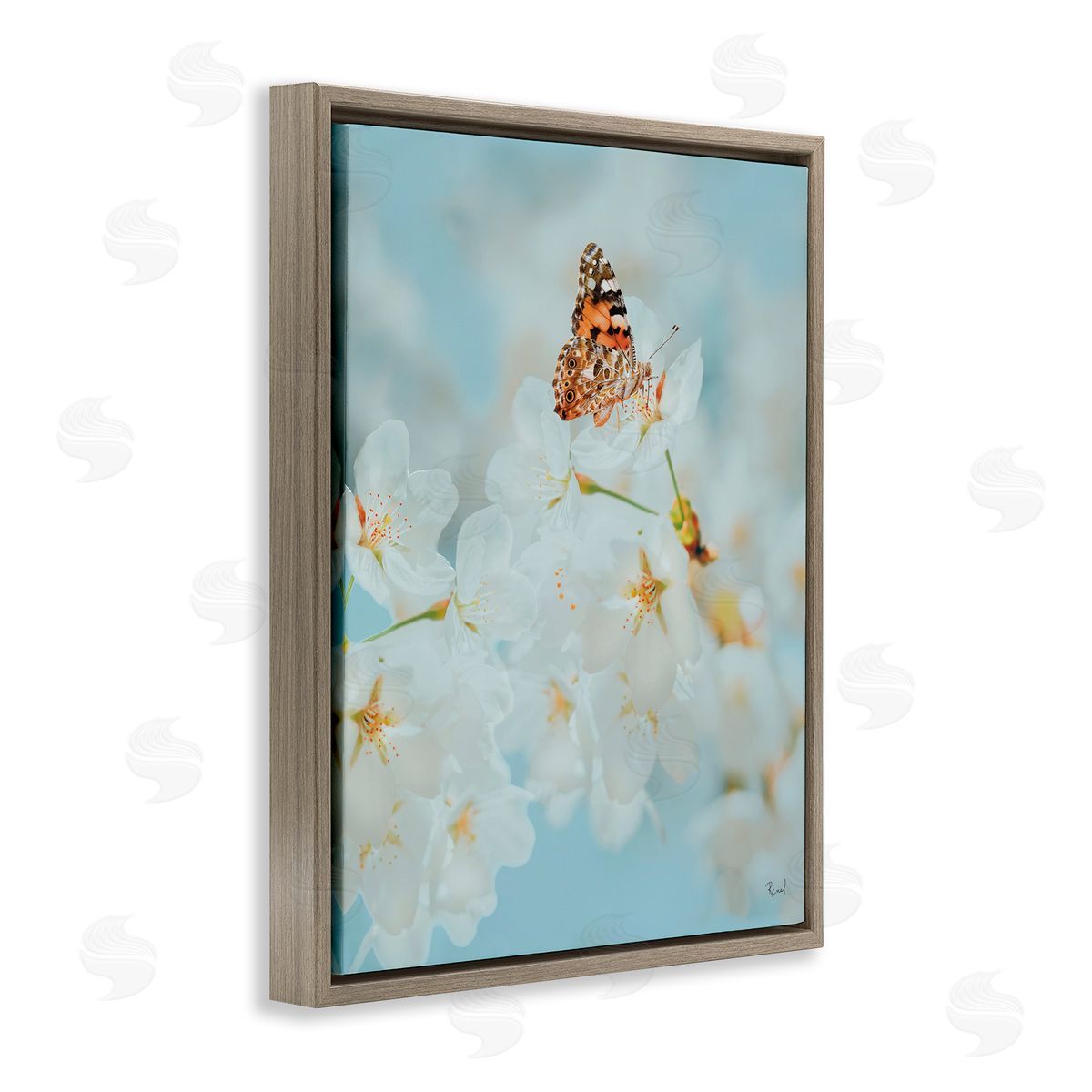 Pale Blossoms and Butterfly Brown Floating Frame Canvas Wall Art, Home Decor by Renel Peters