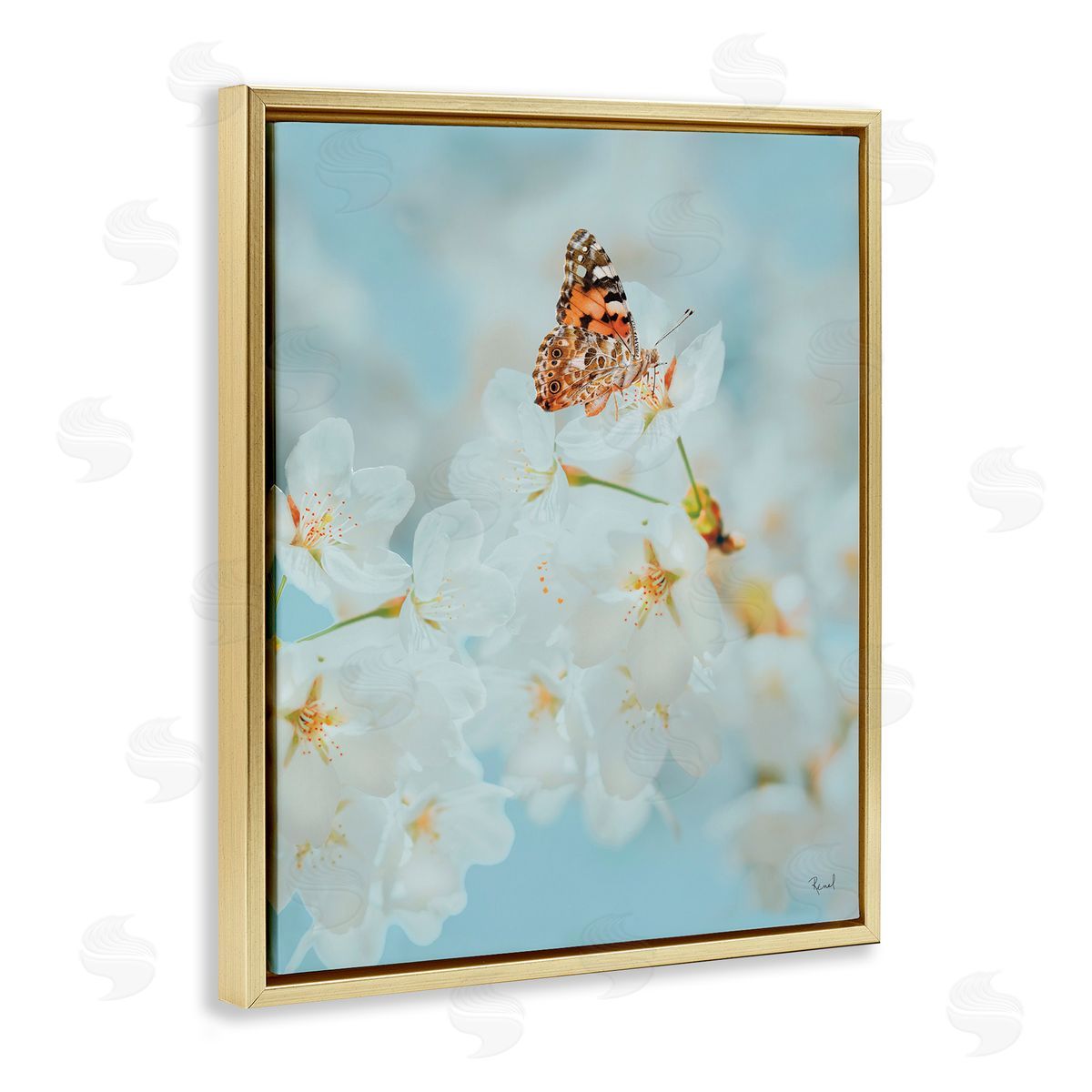 Pale Blossoms and Butterfly Gold Floating Frame Canvas Wall Art, Home Decor by Renel Peters