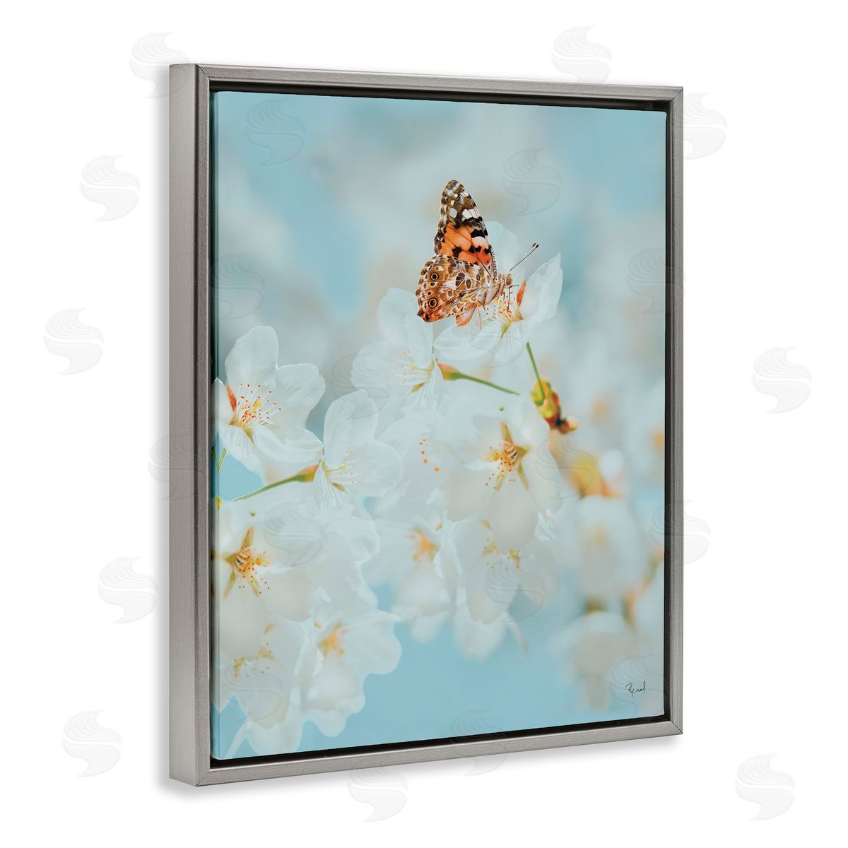 Pale Blossoms and Butterfly Grey Floating Frame Canvas Wall Art, Home Decor by Renel Peters