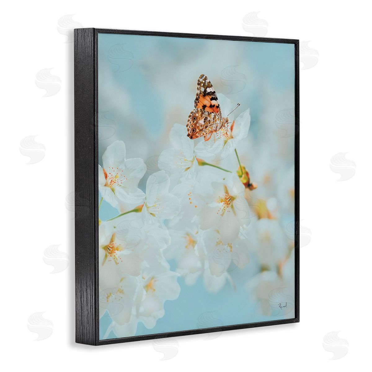 Pale Blossoms and Butterfly Black Frame Print Wall Art, Home Decor by Renel Peters