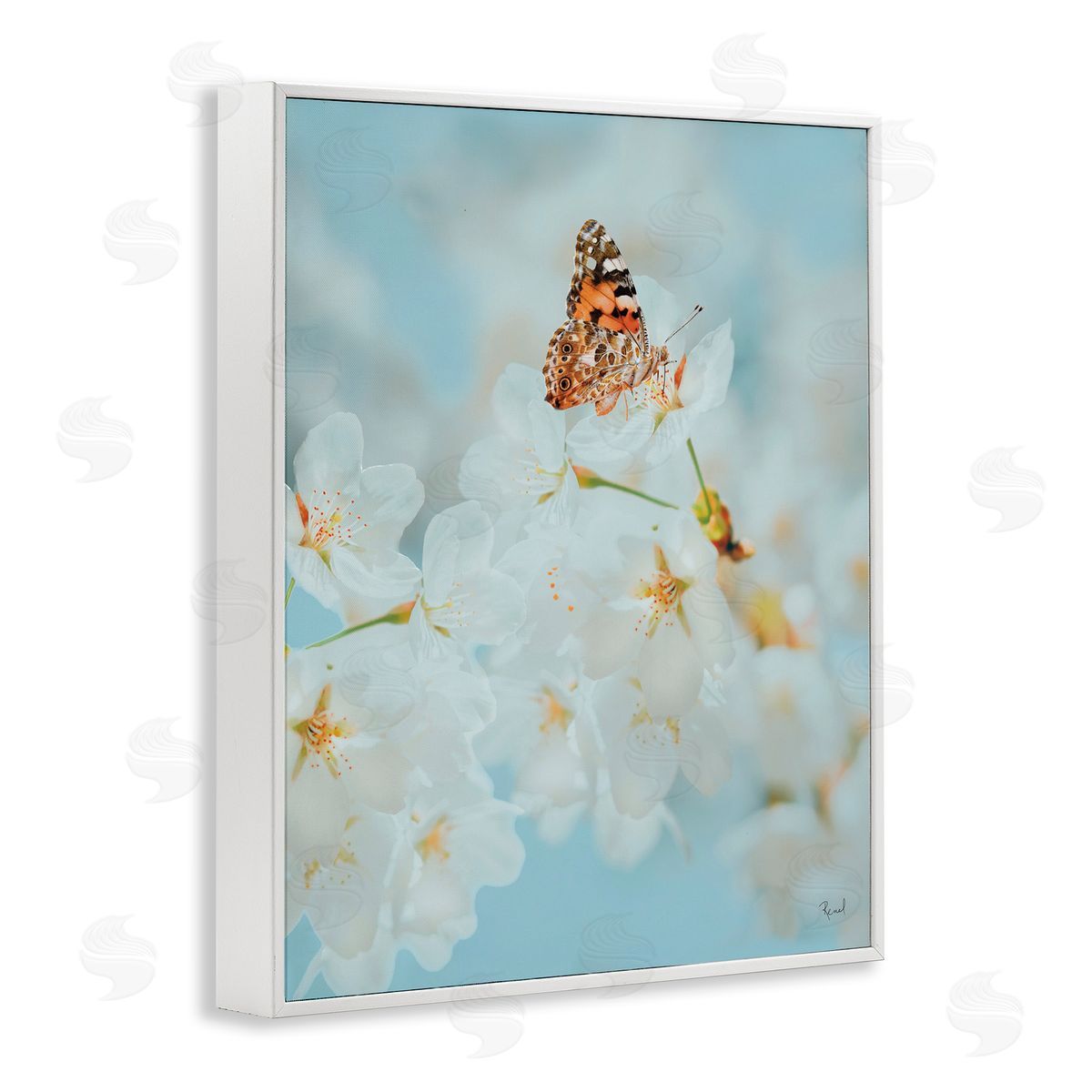 Pale Blossoms and Butterfly White Frame Print Wall Art, Home Decor by Renel Peters