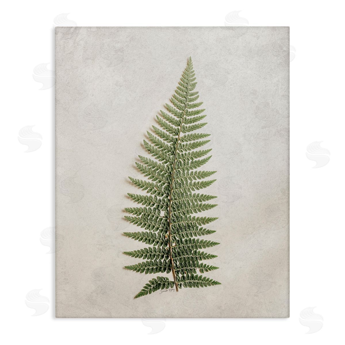 Detailed Fern Frond Canvas Wall Art, Home Decor by Jennifer Rigsby