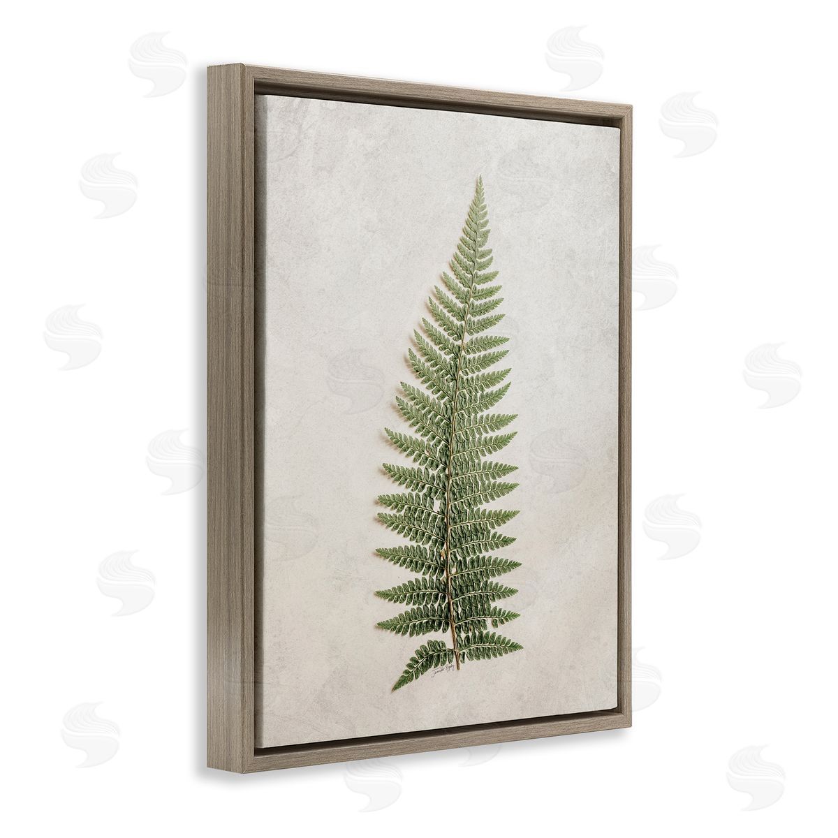 Detailed Fern Frond Brown Floating Frame Canvas Wall Art, Home Decor by Jennifer Rigsby