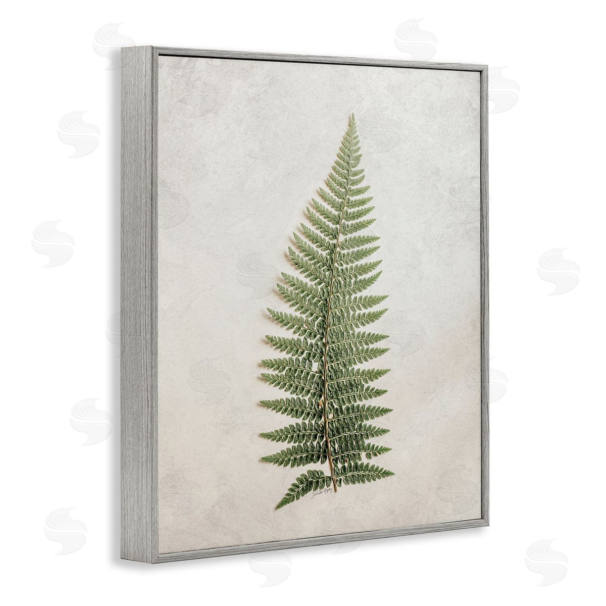 Detailed Fern Frond Grey Frame Print Wall Art, Home Decor by Jennifer Rigsby