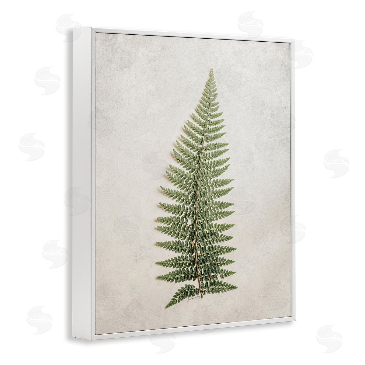 Detailed Fern Frond White Frame Print Wall Art, Home Decor by Jennifer Rigsby