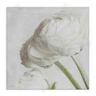 Jennifer Rigsby | Charming White Peony