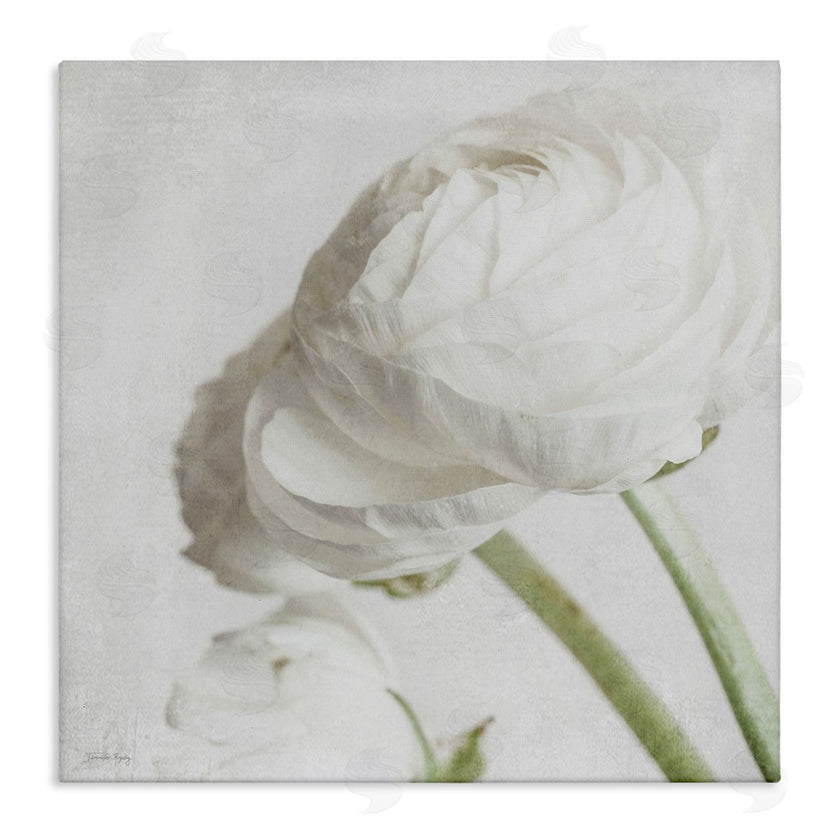 Jennifer Rigsby | Charming White Peony