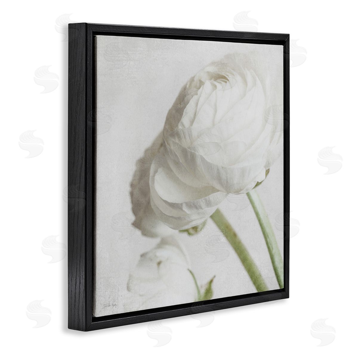 Charming White Peony Black Floating Frame Canvas Wall Art, Home Decor by Jennifer Rigsby