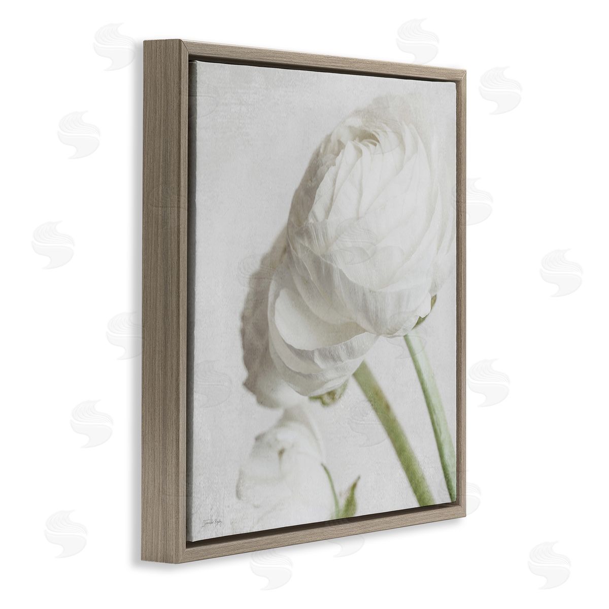 Charming White Peony Brown Floating Frame Canvas Wall Art, Home Decor by Jennifer Rigsby